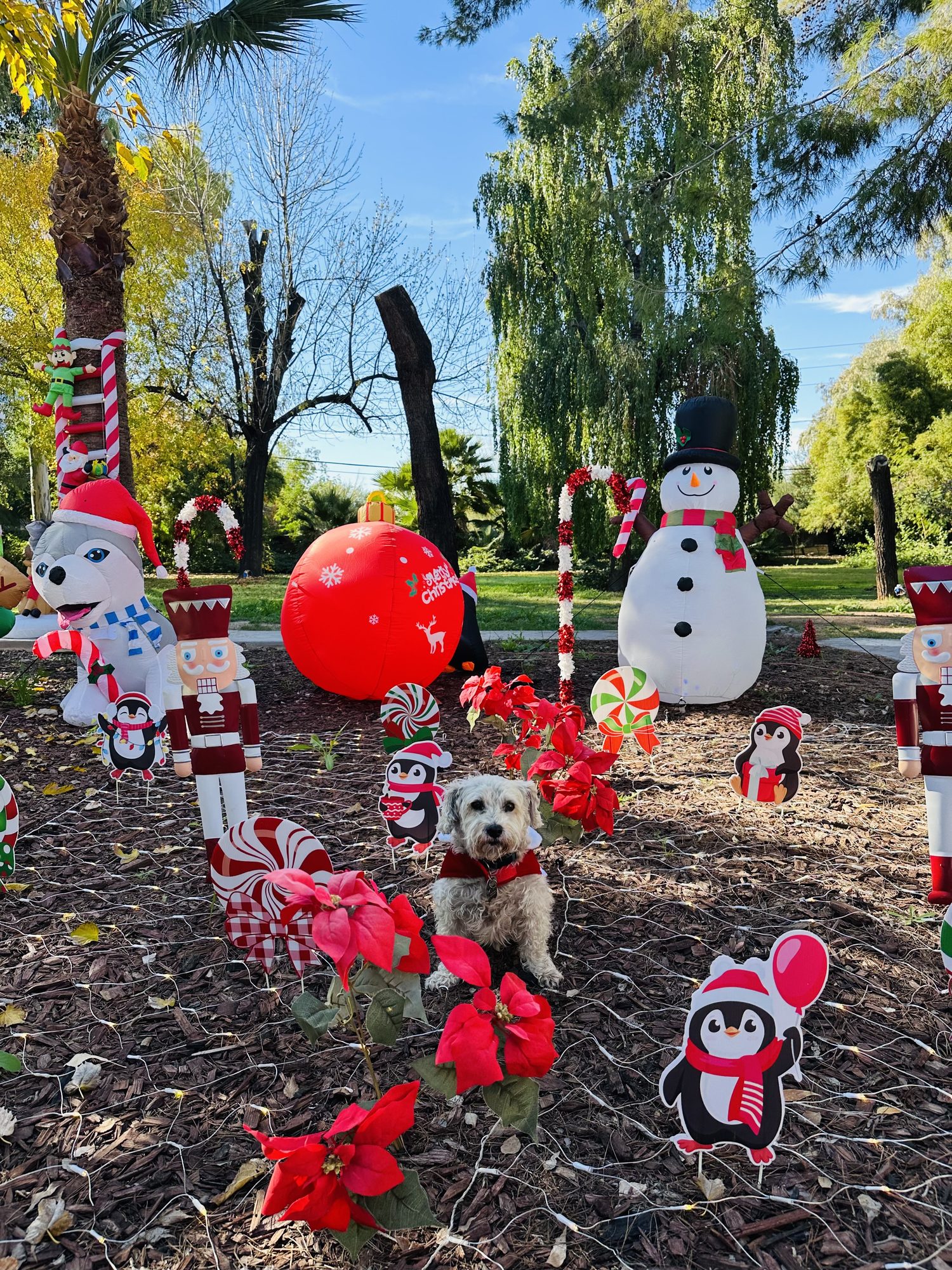 Fun activities at Biltmore Assisted Living