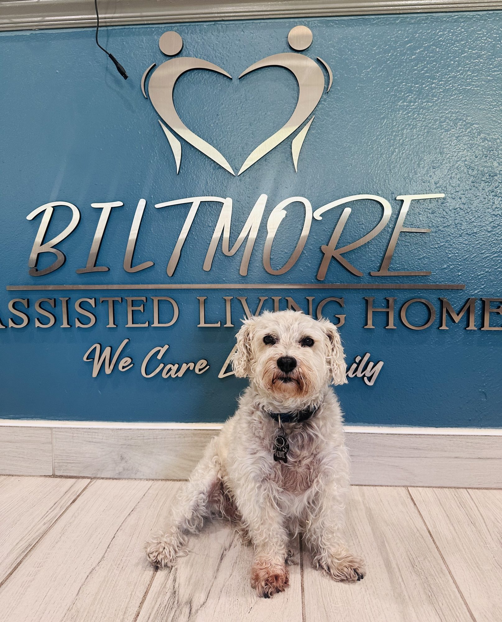 Fun activities at Biltmore Assisted Living